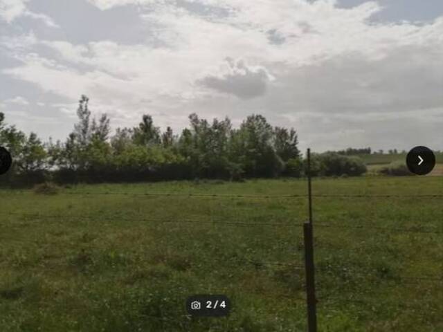 #1258 - Finca de regadio para Venta en Cáceres - Extremadur - 2