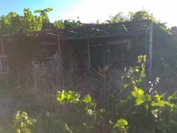 #ZARZG-1-1 - Casa para Venta en Plasencia - Extremadur - 1