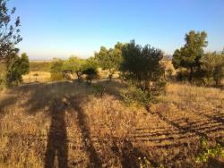 Casa para Venta en Plasencia - 4